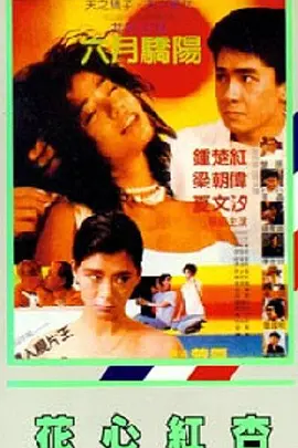 舒淇玉女心经电视剧高清免费观看全集